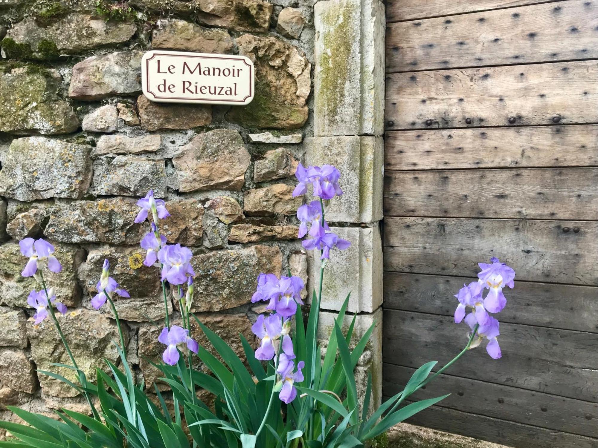 ルブレサック Manoir De Rieuzal Bed & Breakfast エクステリア 写真