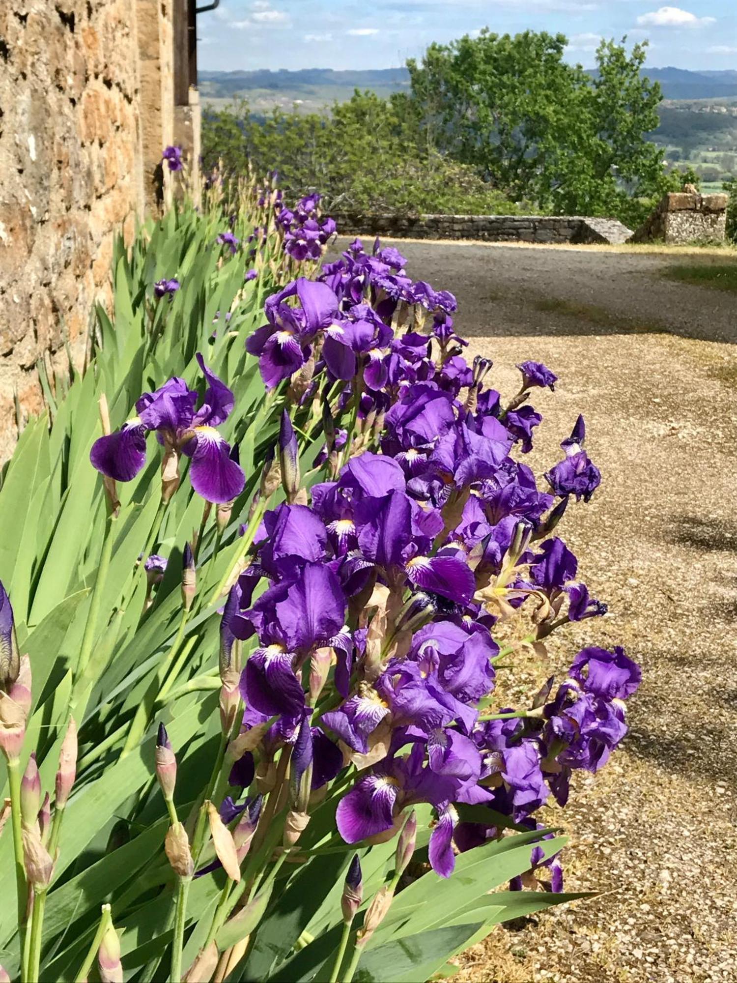 ルブレサック Manoir De Rieuzal Bed & Breakfast エクステリア 写真