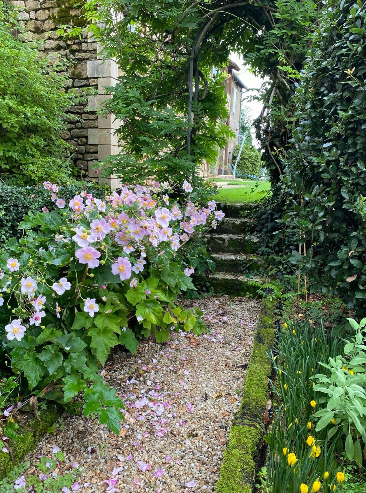 ルブレサック Manoir De Rieuzal Bed & Breakfast エクステリア 写真