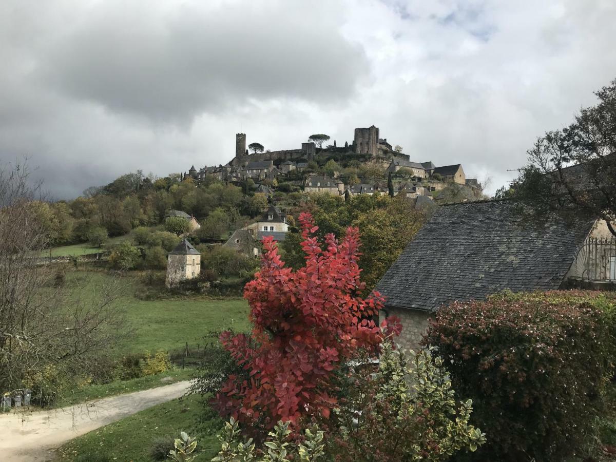 ルブレサック Manoir De Rieuzal Bed & Breakfast エクステリア 写真